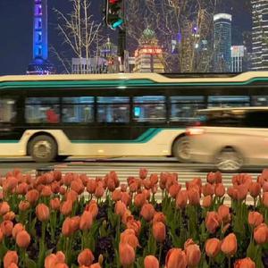 口述女人两腿张开做爰
